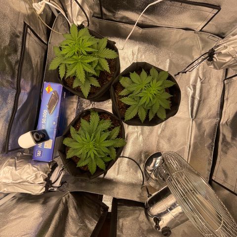 Babys try one growlog timeline photo