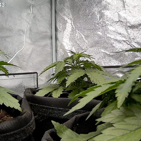Babys try one growlog timeline photo