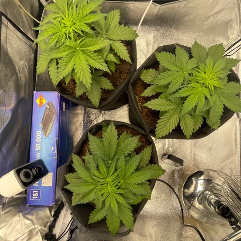 Babys try one growlog timeline photo