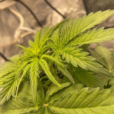 Babys try one growlog timeline photo