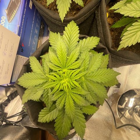 Babys try one growlog timeline photo