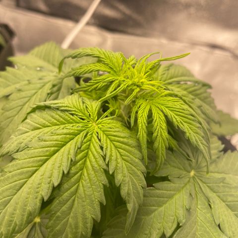 Babys try one growlog timeline photo