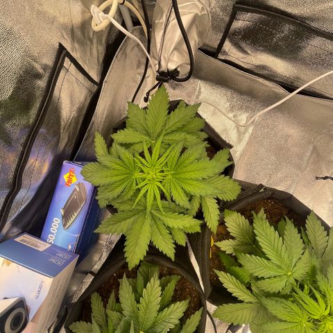 Babys try one growlog timeline photo