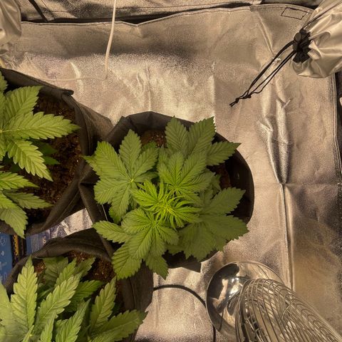 Babys try one growlog timeline photo