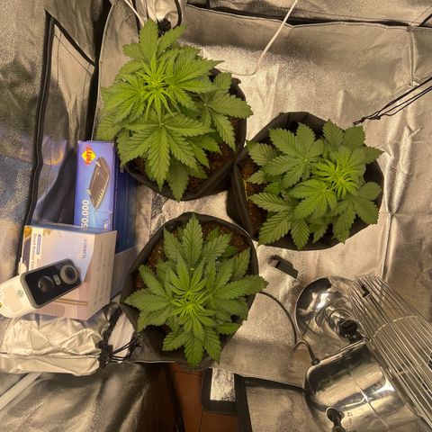 Babys try one growlog timeline photo