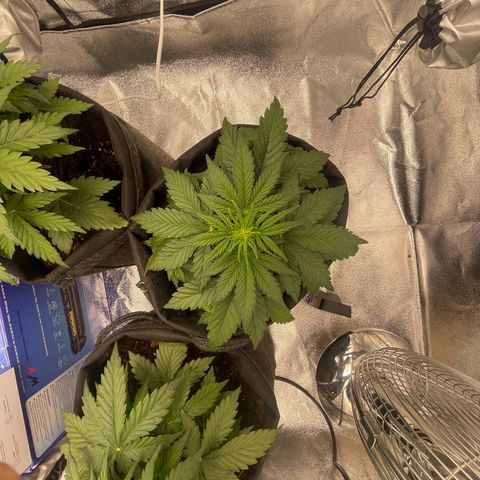 Babys try one growlog timeline photo