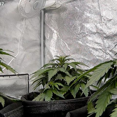 Babys try one growlog timeline photo