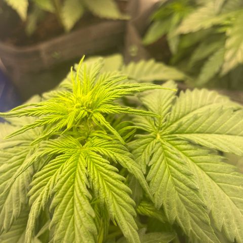 Babys try one growlog timeline photo