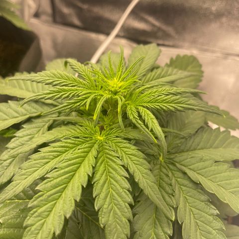 Babys try one growlog timeline photo
