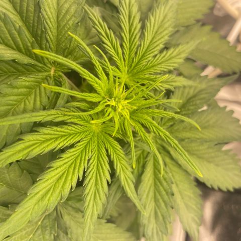 Babys try one growlog timeline photo