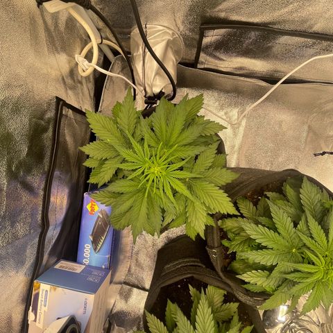 Babys try one growlog timeline photo