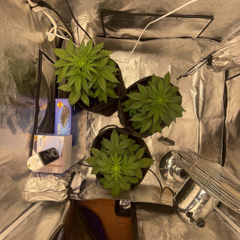 Babys try one growlog timeline photo