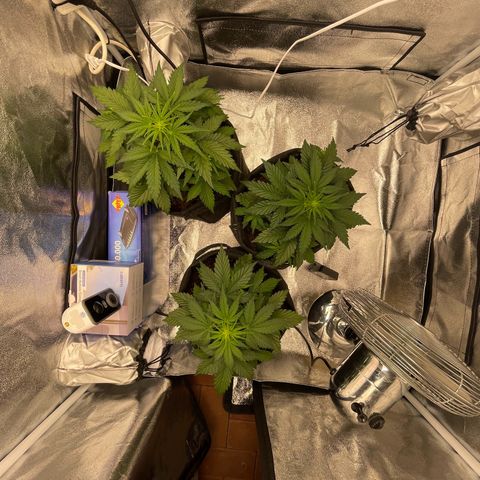 Babys try one growlog timeline photo