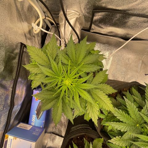 Babys try one growlog timeline photo