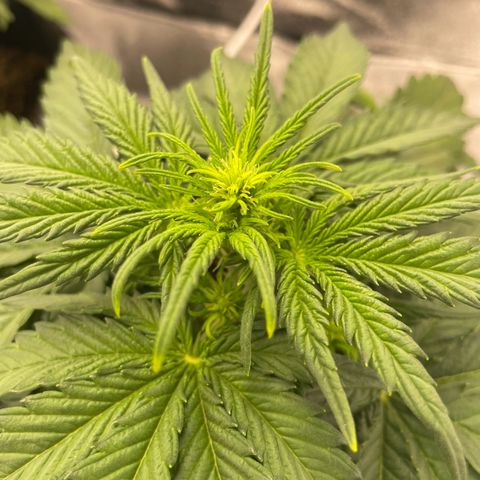 Babys try one growlog timeline photo