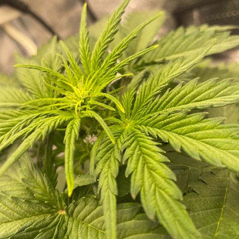 Babys try one growlog timeline photo