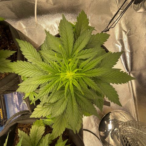 Babys try one growlog timeline photo