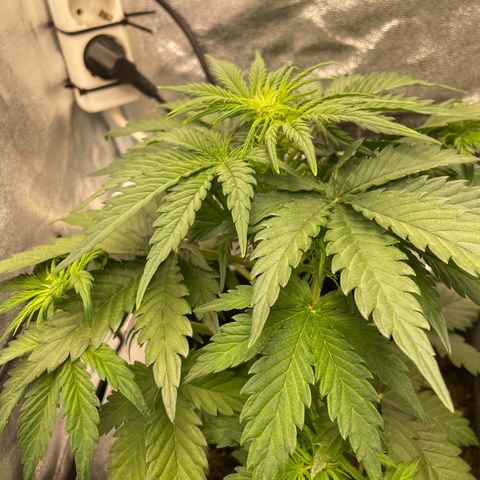 Babys try one growlog timeline photo