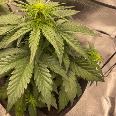Babys try one growlog timeline photo