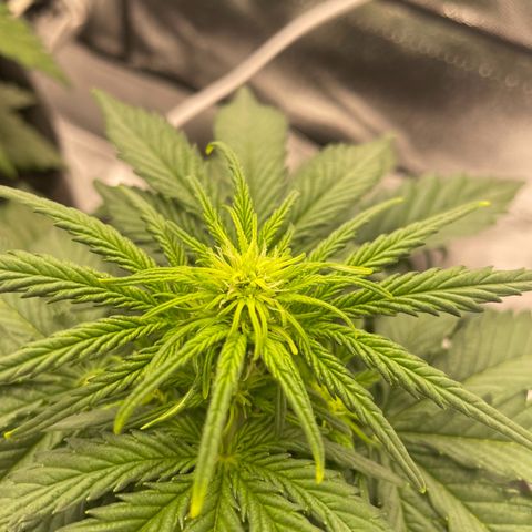 Babys try one growlog timeline photo