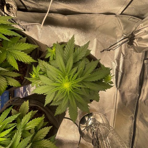 Babys try one growlog timeline photo