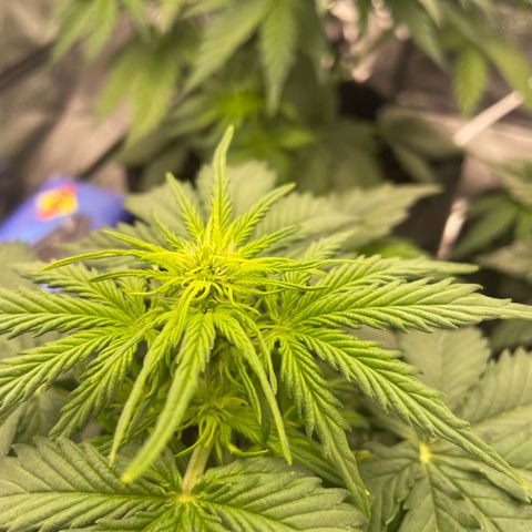 Babys try one growlog timeline photo