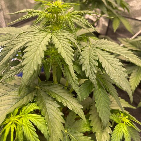 Babys try one growlog timeline photo