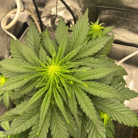 Babys try one growlog timeline photo