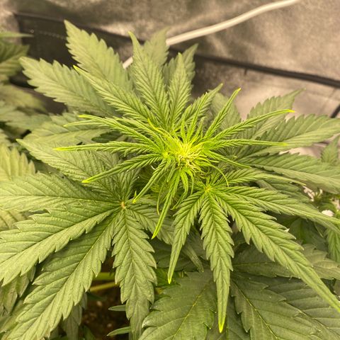 Babys try one growlog timeline photo