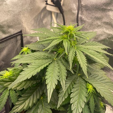 Babys try one growlog timeline photo