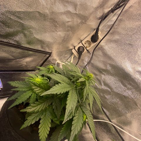 Babys try one growlog timeline photo