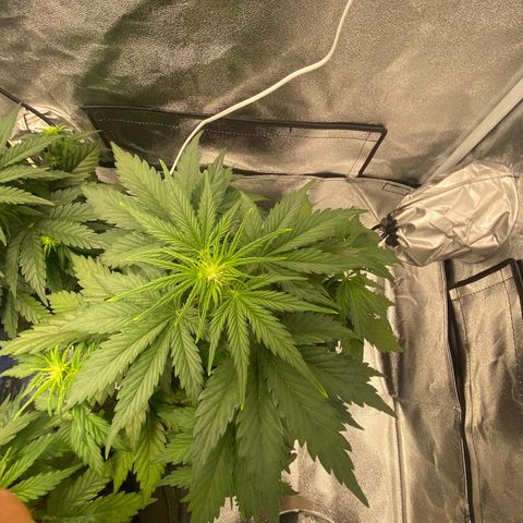 Babys try one growlog timeline photo