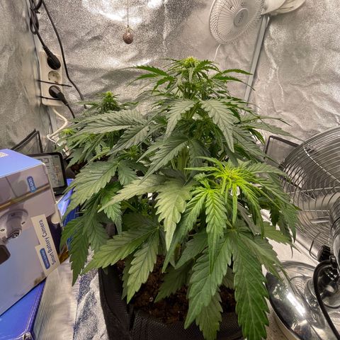 Babys try one growlog timeline photo