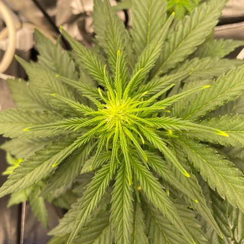Babys try one growlog timeline photo