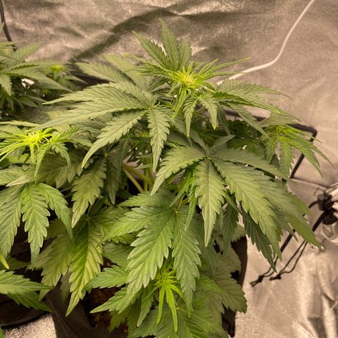 Babys try one growlog timeline photo