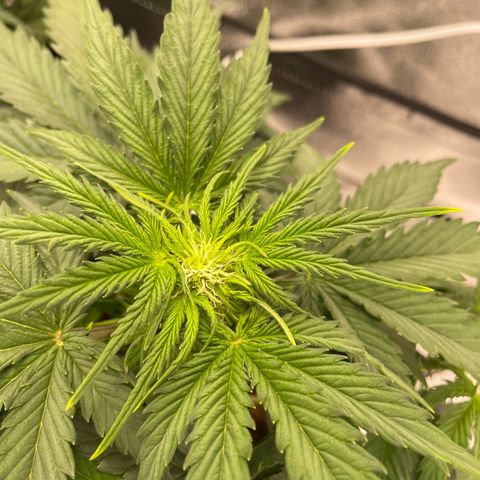 Babys try one growlog timeline photo