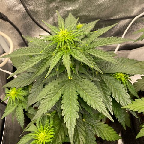 Babys try one growlog timeline photo