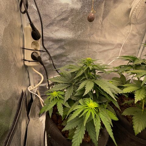 Babys try one growlog timeline photo