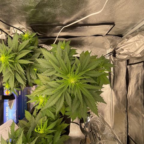 Babys try one growlog timeline photo