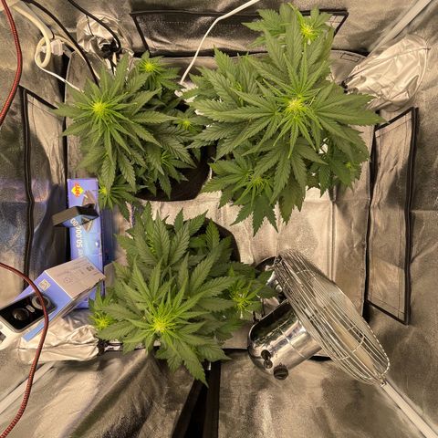 Babys try one growlog photo: Papa ist stolz🥰