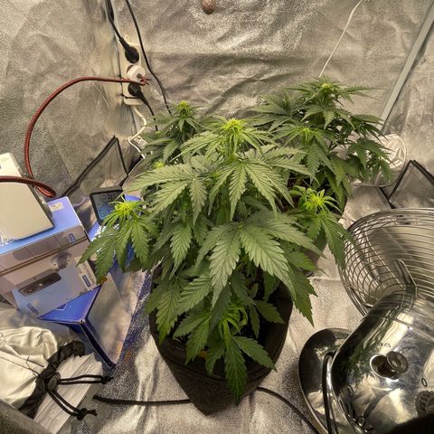 Babys try one growlog photo: Papa ist stolz🥰