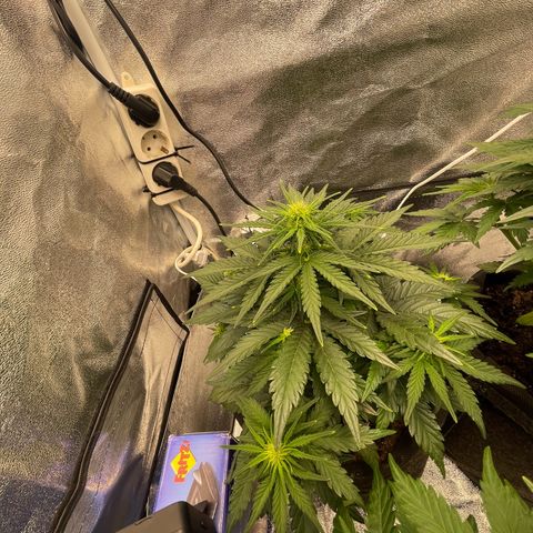Babys try one growlog timeline photo