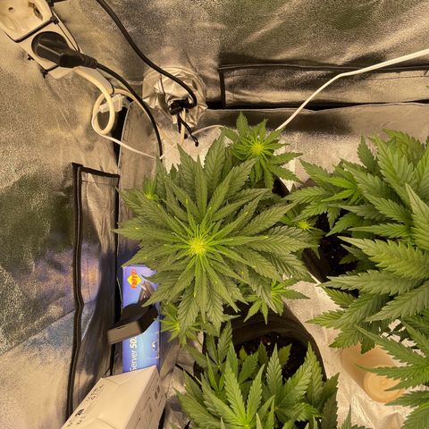 Babys try one growlog timeline photo