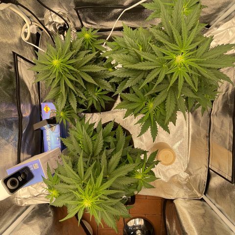 Babys try one growlog timeline photo
