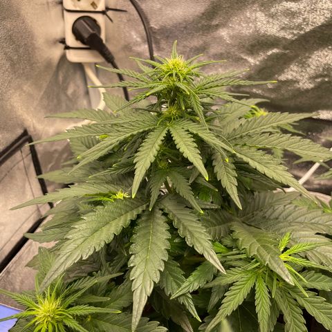 Babys try one growlog timeline photo