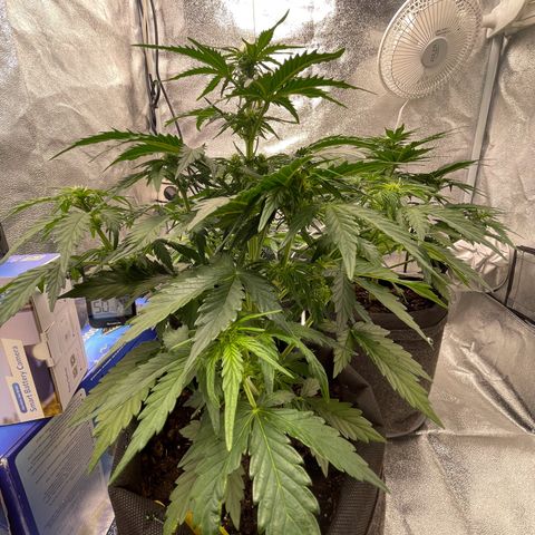 Babys try one growlog timeline photo