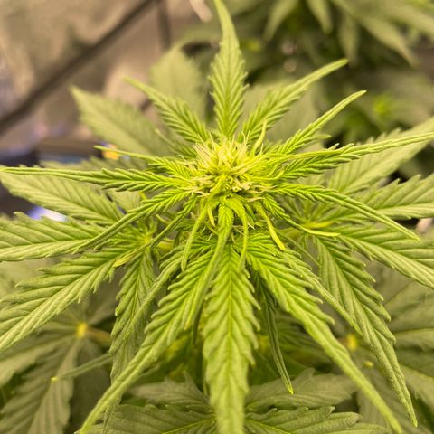Babys try one growlog timeline photo