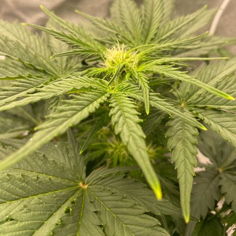 Babys try one growlog timeline photo
