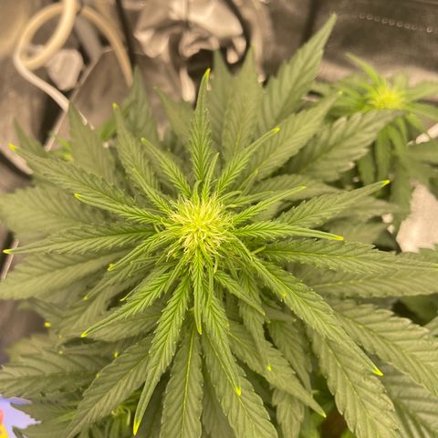 Babys try one growlog timeline photo