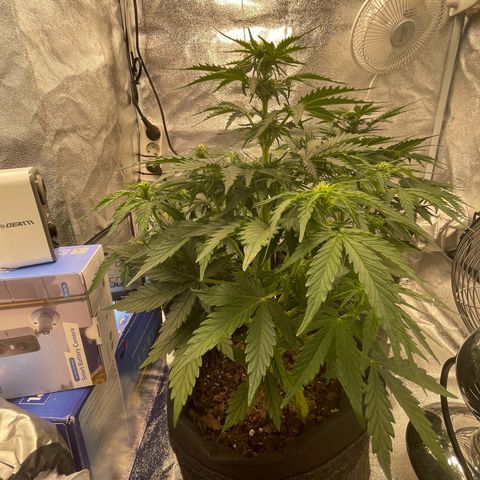 Babys try one growlog timeline photo